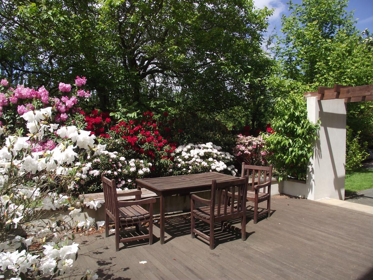 Shamrock Garden B&B Airport Крайстчерч Екстер'єр фото